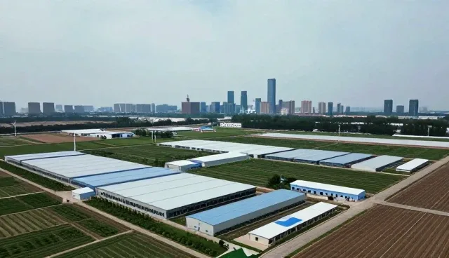 山东金声隆石业集团有限公司专注技术外包领域,提供系统集成等服务